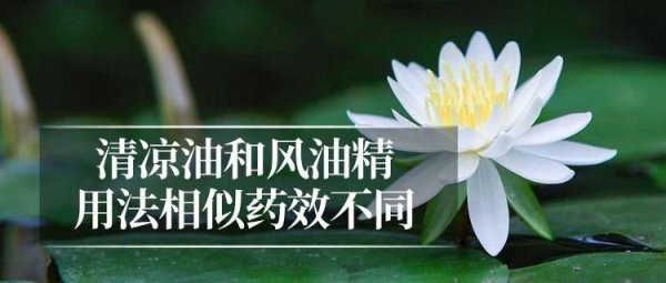 冠达配资 风油精、清凉油、藿香正气水 这些“国民解暑药”你用对了吗？