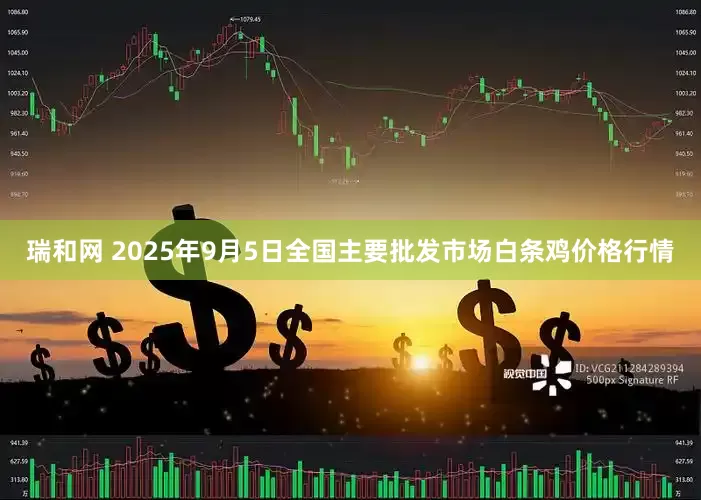 瑞和网 2025年9月5日全国主要批发市场白条鸡价格行情